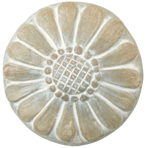 Daisy | Isabel Bloom