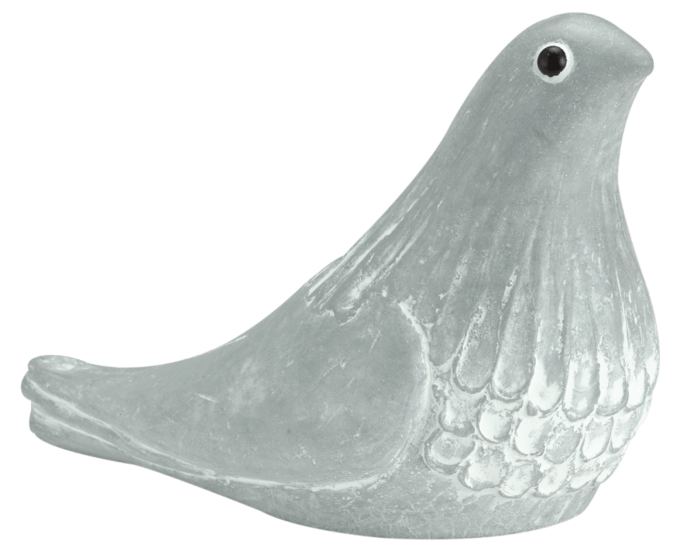 Butterfly Kisses Isabel Bloom