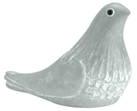 mourning dove