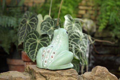 Get Your Garden Bloomin’