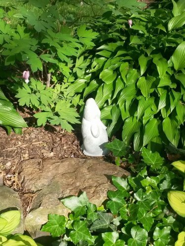 Get Your Garden Bloomin’