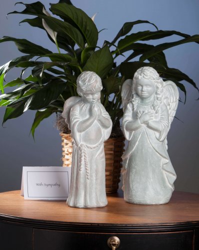 angels and plants