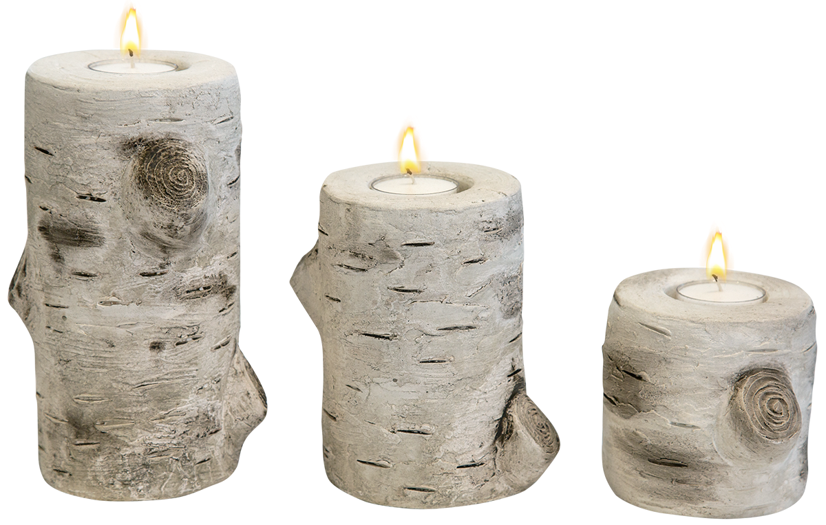 birch-pillars-isabel-bloom