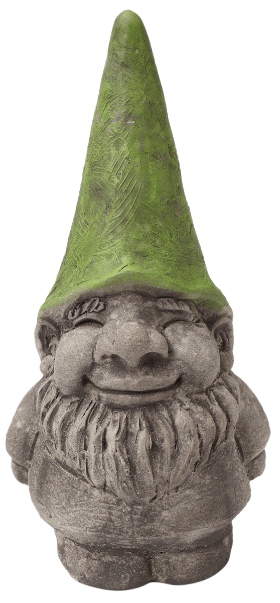 Gned The Gnome
