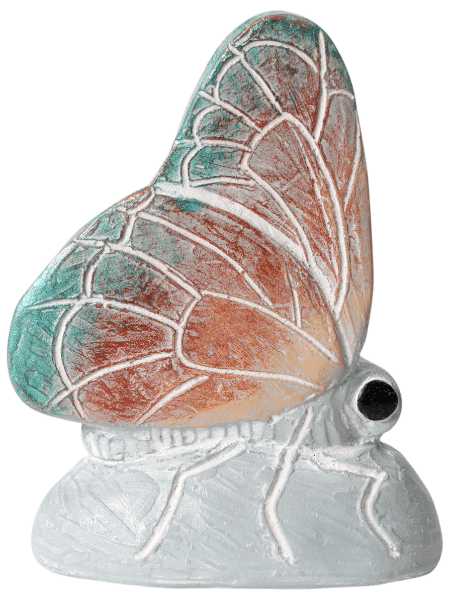 Butterfly Kisses Mulitcolor