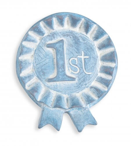 2015 "Blue Ribbon" Blue Ribbon Foundation: IA State Fair