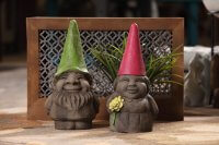 Gned meets Gnora; the Gnome of his dreams