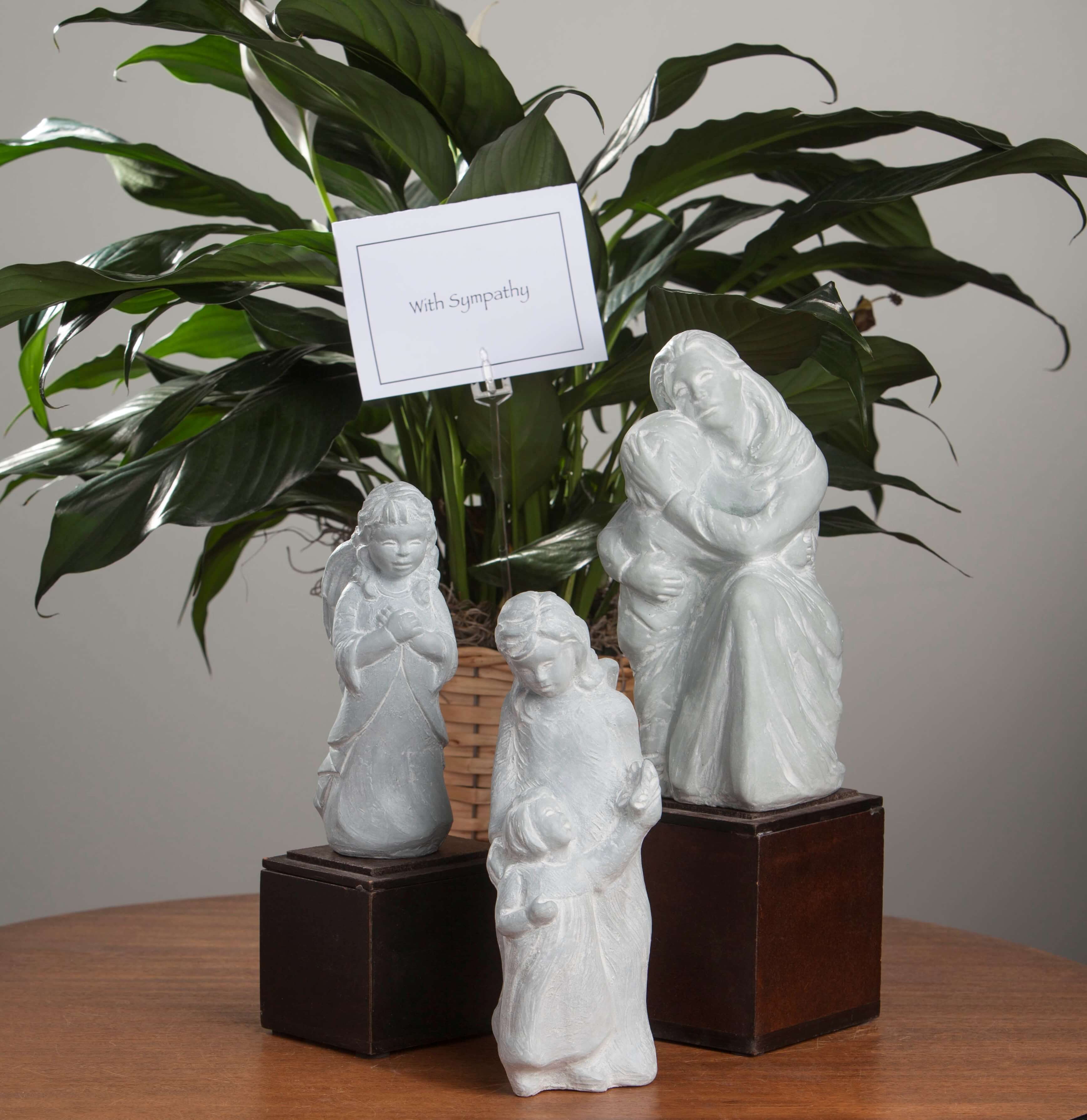 Marshalltown Hy Vee Flowers Best Flower Site