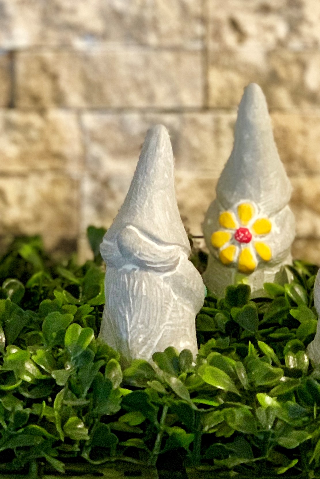 Grateful Gnome Isabel Bloom