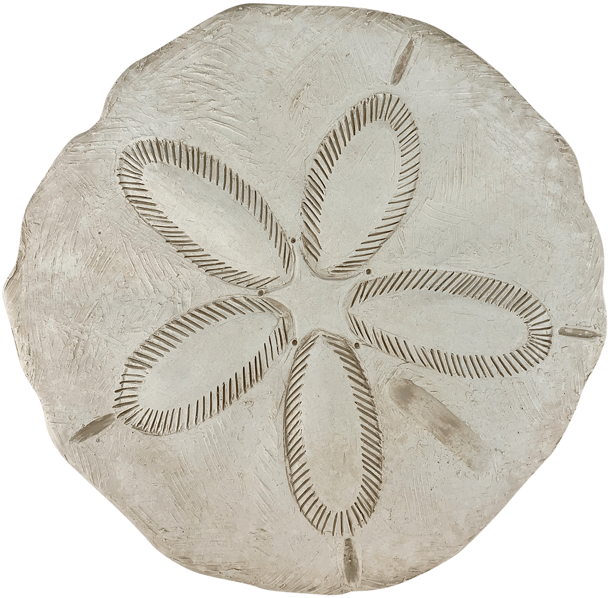 Sand Dollar