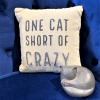 Pillow -1 Cat short of crazy