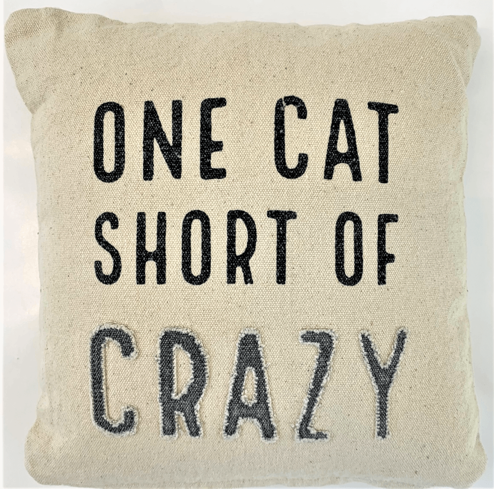 Pillow -1 Cat short of crazy