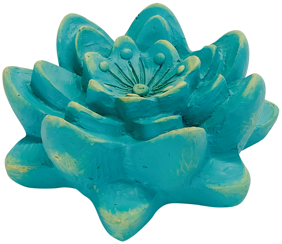 Water Lily Isabel Bloom