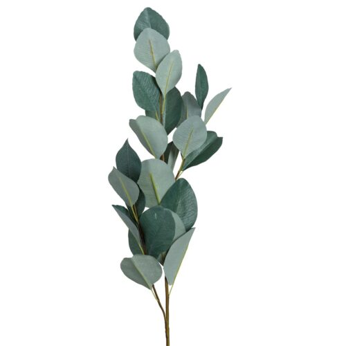 Pick -Eucalyptus