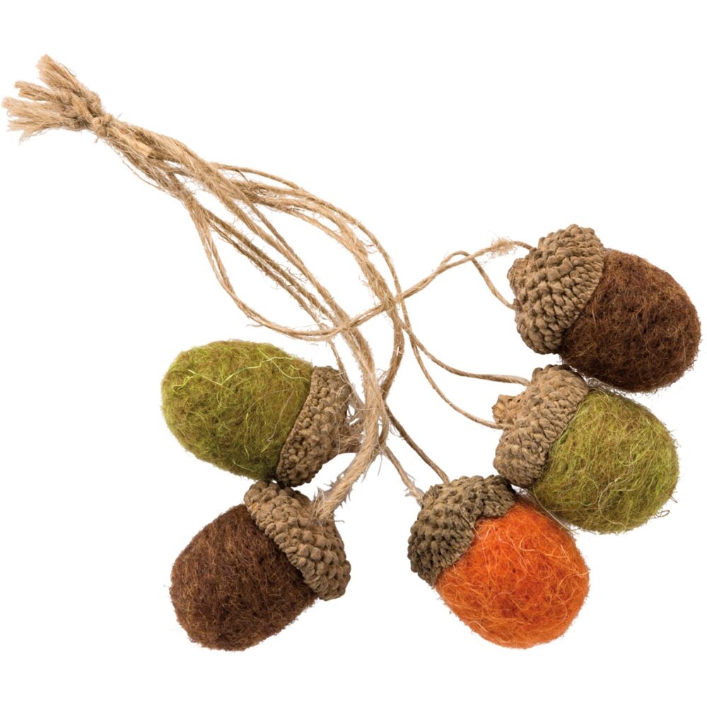 Felt Set -Acorns