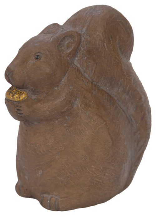 Squirrel Chubby Brown