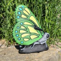 Order Your Custom Butterfly TODAY!