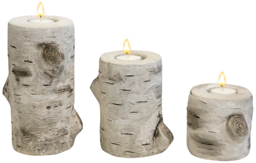 Birch Pillar Set of 3