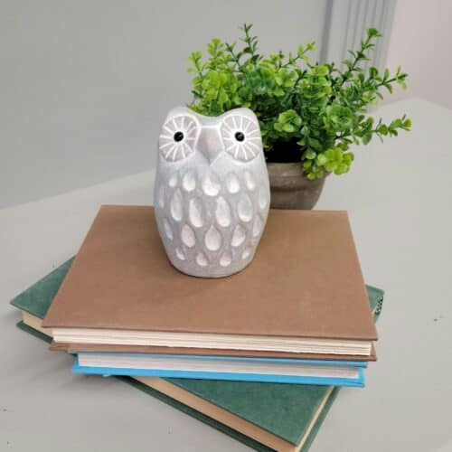 Limited Edition Anniversary Owl