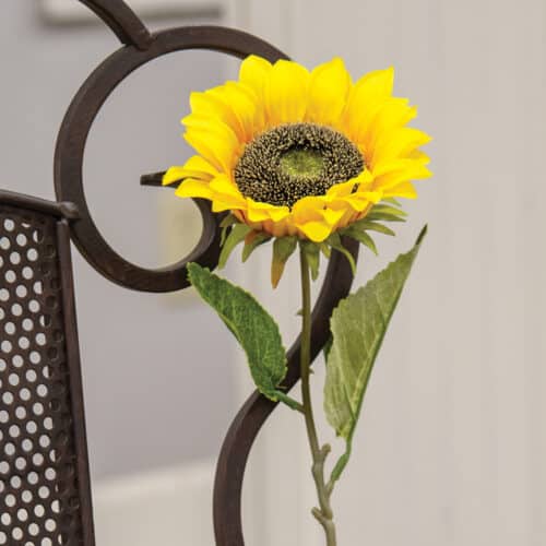 Pick Sunflower