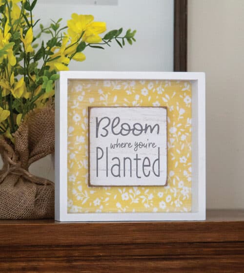 Sign Bloom