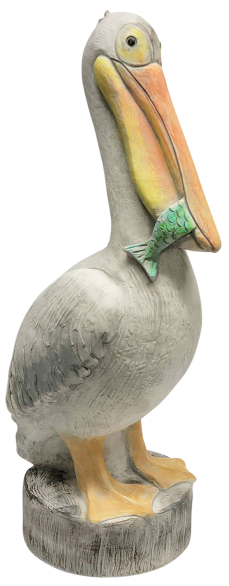 Pelican