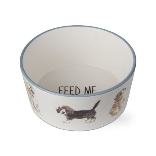 ceramic dog bowl