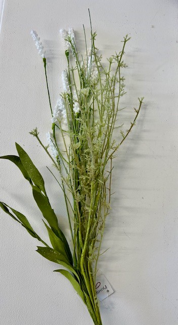 Pick White Salvia mix