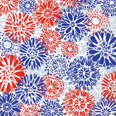 Napkin July