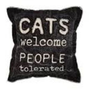 Pillow-Cat Welcome