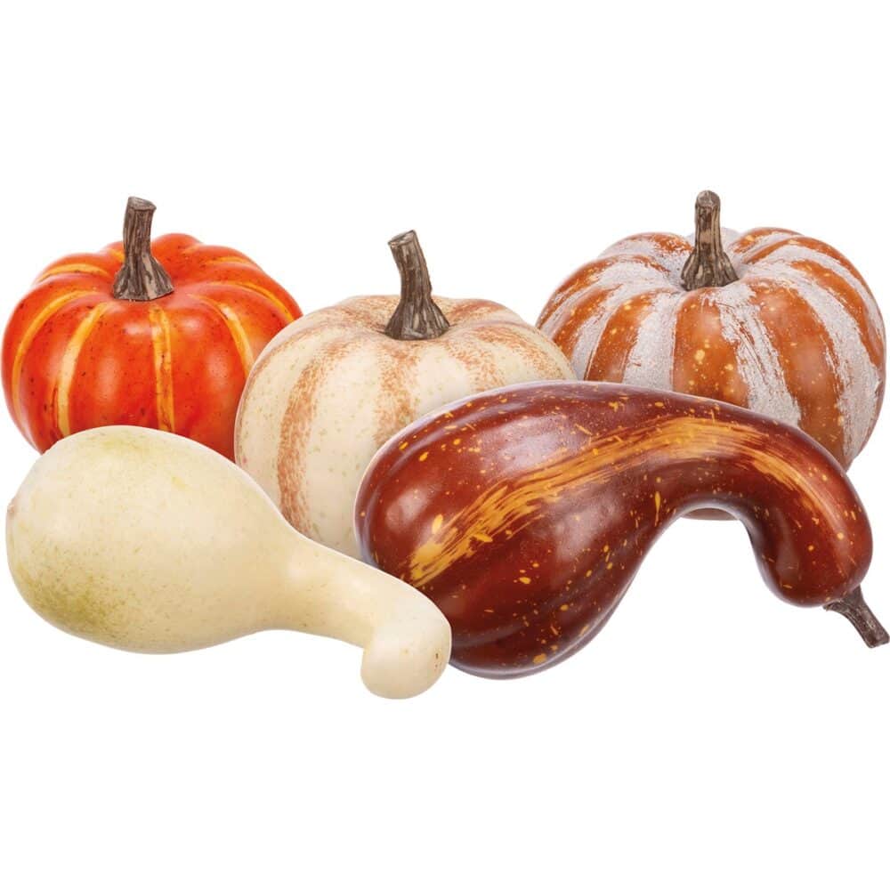 Fall Mix-Pumpkin