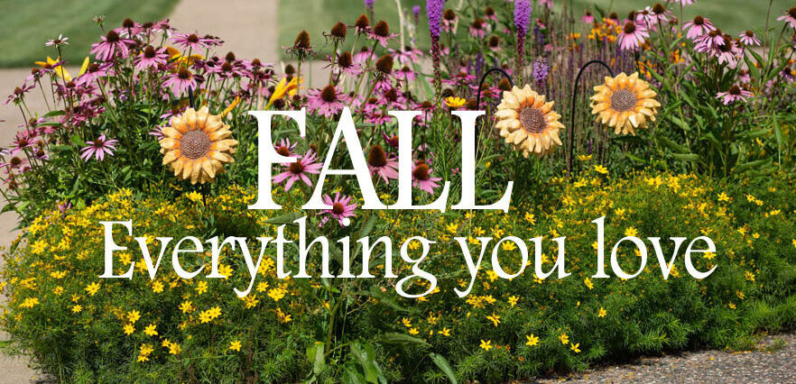 Fall - Everything you love