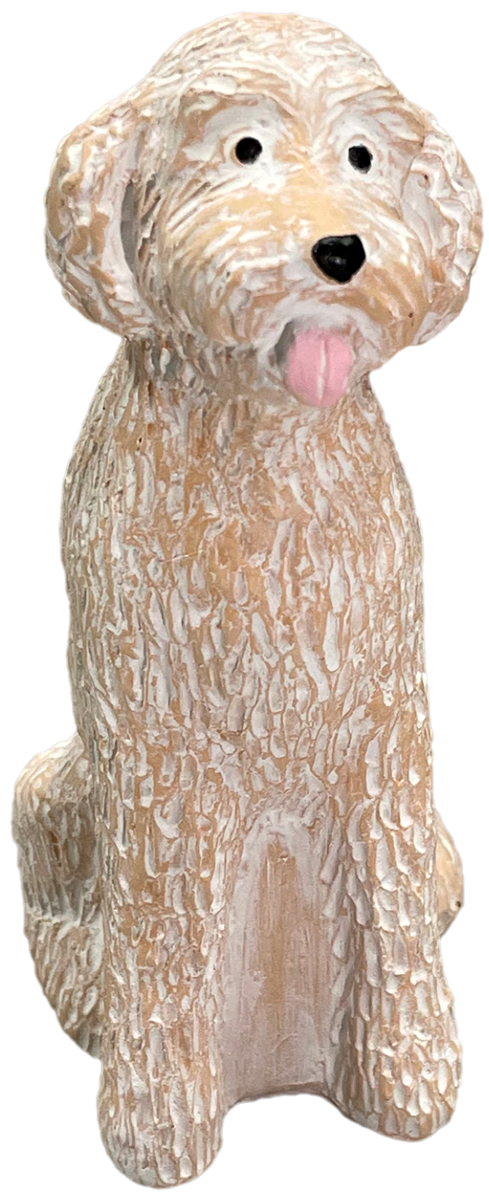 Cat Egg 2024