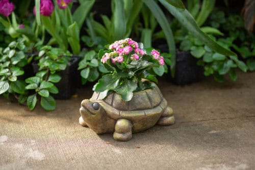 Turtle Planter