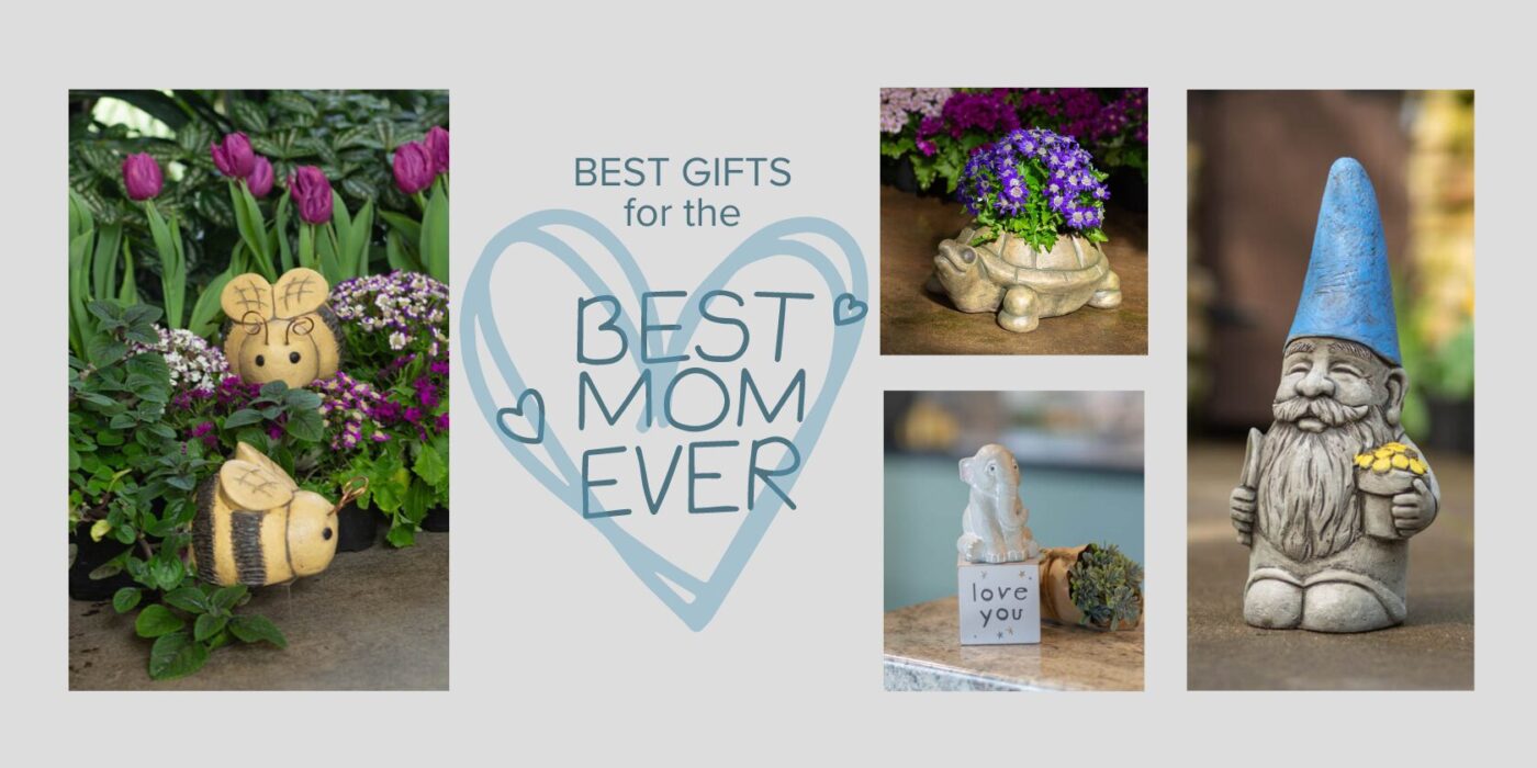 BEST GIFTS for the Best Mom Ever