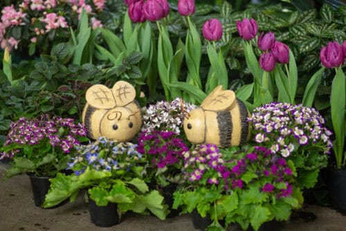 Large Bumblebees