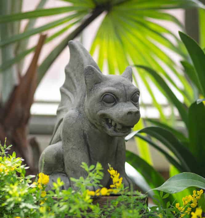 Gargoyle