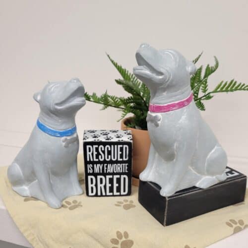 Pibble Rescue Dogs