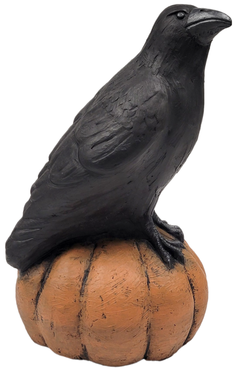 Crow on Pumpkin