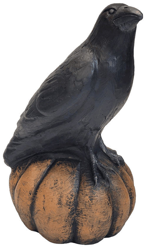 Crow on Pumpkin