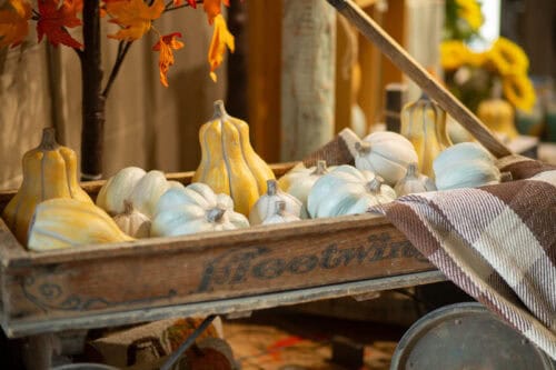 Fall into the Season at Isabel Bloom!