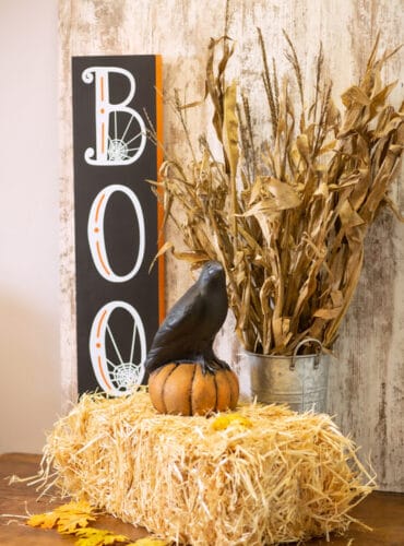 Fall into the Season at Isabel Bloom!