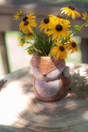Fall into the Season with Isabel Bloom!