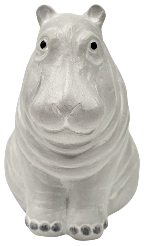 Baby Hippoptamus
