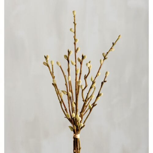 Bouquet- Pussywillow