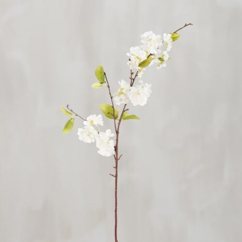 Pick- WH Pear Blossom