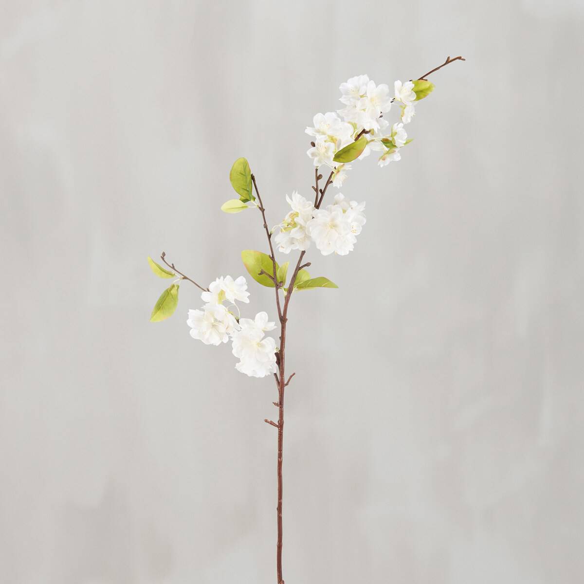 Pick- WH Pear Blossom
