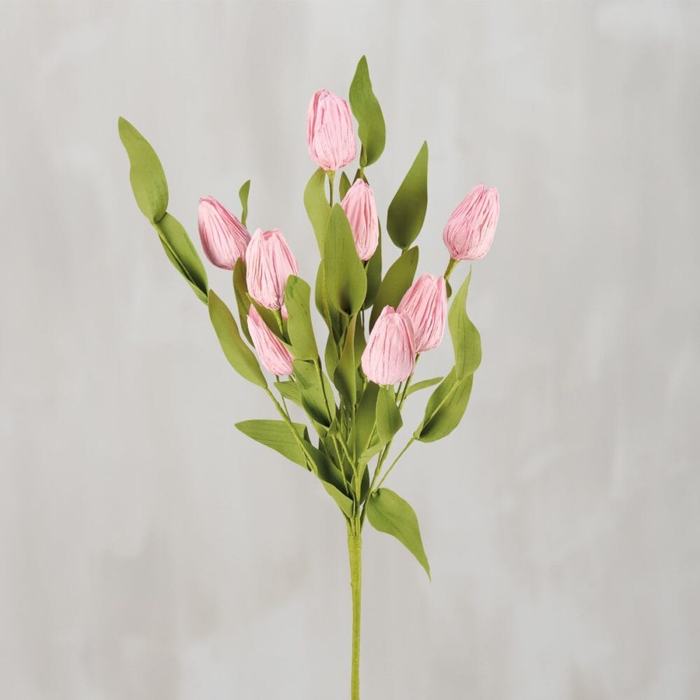 Pick- Pink Tulips