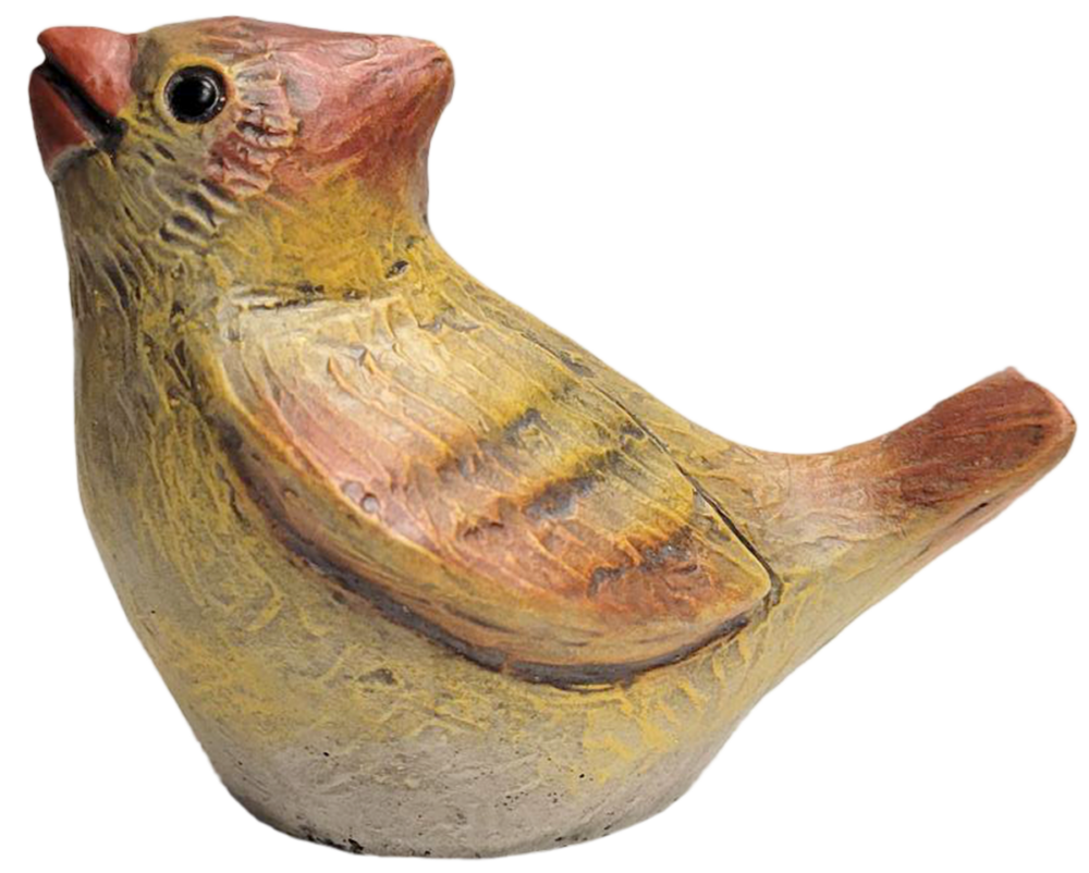 Female Cardinal