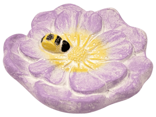 Wild Rose Flower